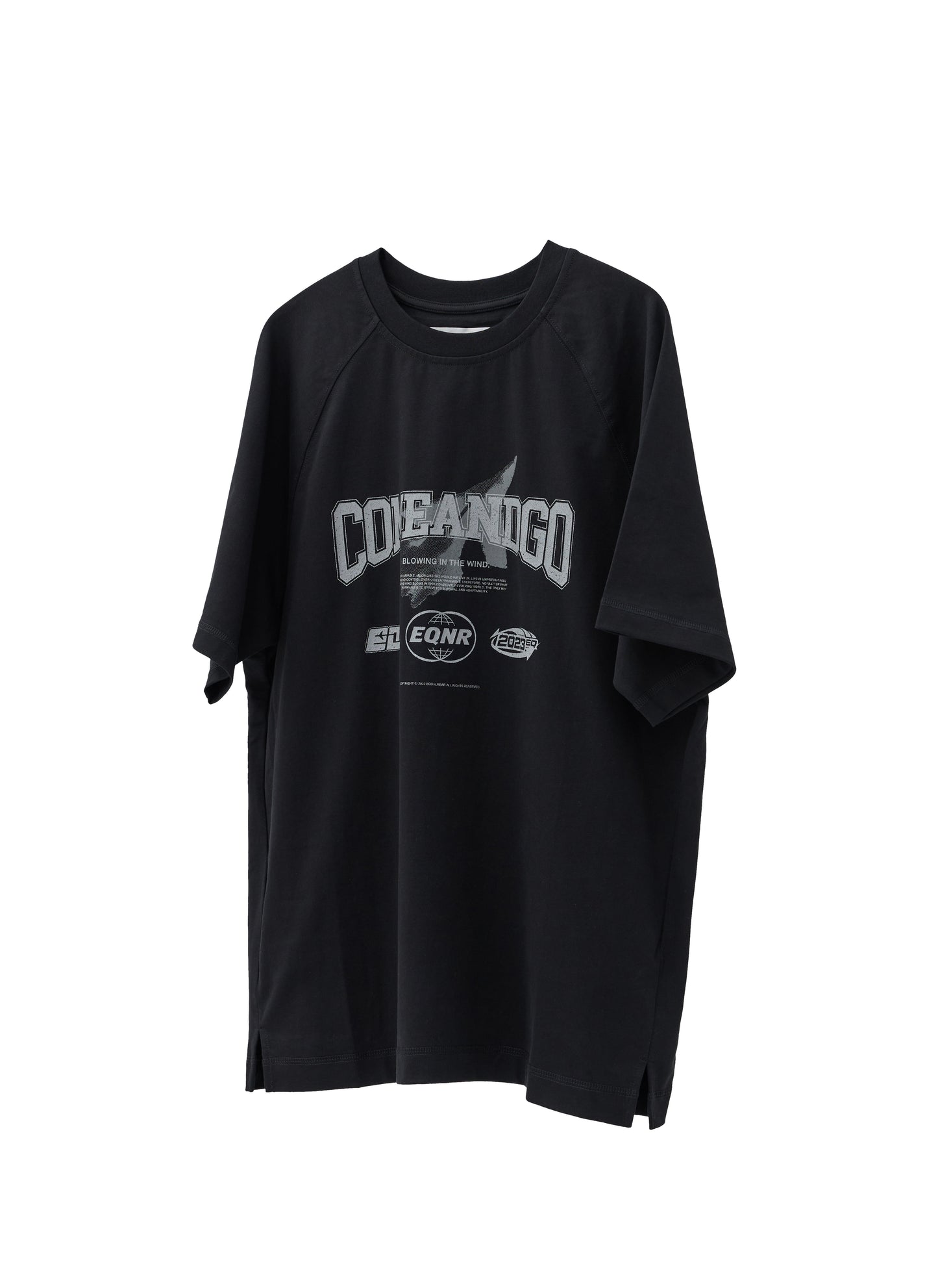 C&G Graphic Raglan Tee - Black
